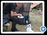foto Jiří Maršíček IMG_8481